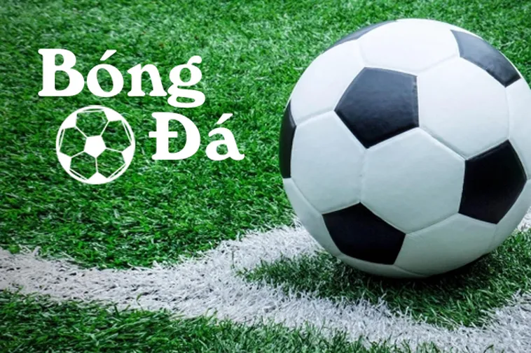 Hiểu Rõ Bóng Trong Cuộc Và Bóng Ngoài Cuộc Để Nắm Luật Bóng Đá Chính Xác