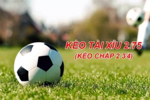 Phân Tích Kèo 2.75 Và Cách Tính Toán Kết Quả Trong Các Trận Thắng Đậm