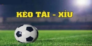 Hướng Dẫn Cách Chơi Kèo Tài Xỉu Bóng Đá Luôn Thắng Từ Phân Tích Chuyên Gia