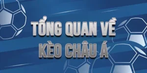 Bí Quyết Chinh Phục Cách Chơi Kèo Châu Á Để Tối Ưu Hóa Lợi Nhuận Đầu Tư