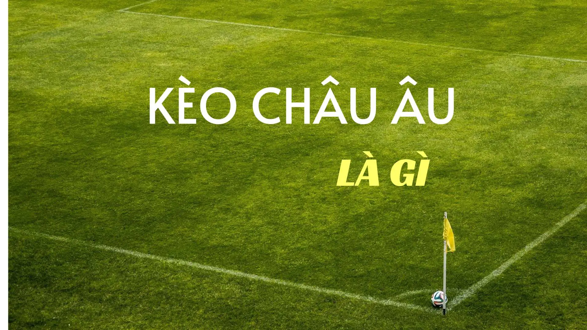 Cách Chơi Kèo Châu Âu Và Bí Quyết Dự Đoán Kết Quả Chính Xác Nhất