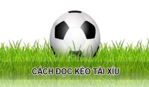 Bí Quyết Chinh Phục Cách Chơi Kèo Tài Xỉu Hiệp 1 Luôn Thắng Cho Người Mới