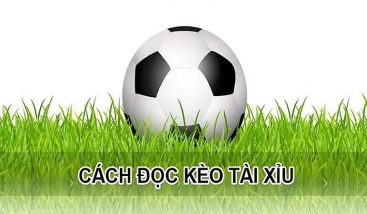 Bí Quyết Chinh Phục Cách Chơi Kèo Tài Xỉu Hiệp 1 Luôn Thắng Cho Người Mới