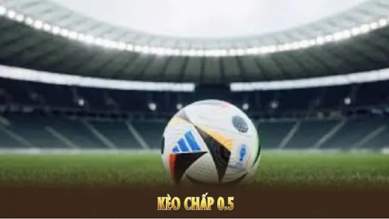Toàn Tập Cách Chơi Kèo Chấp 0.5 Bóng Đá Cho Người Mới Bắt Đầu