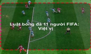 Tìm Hiểu Chi Tiết Luật Sân Bóng Đá Thi Đấu Theo Tiêu Chuẩn FIFA Mới Nhất